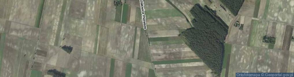 Zdjęcie satelitarne Niedziałowice Pierwsze ul.